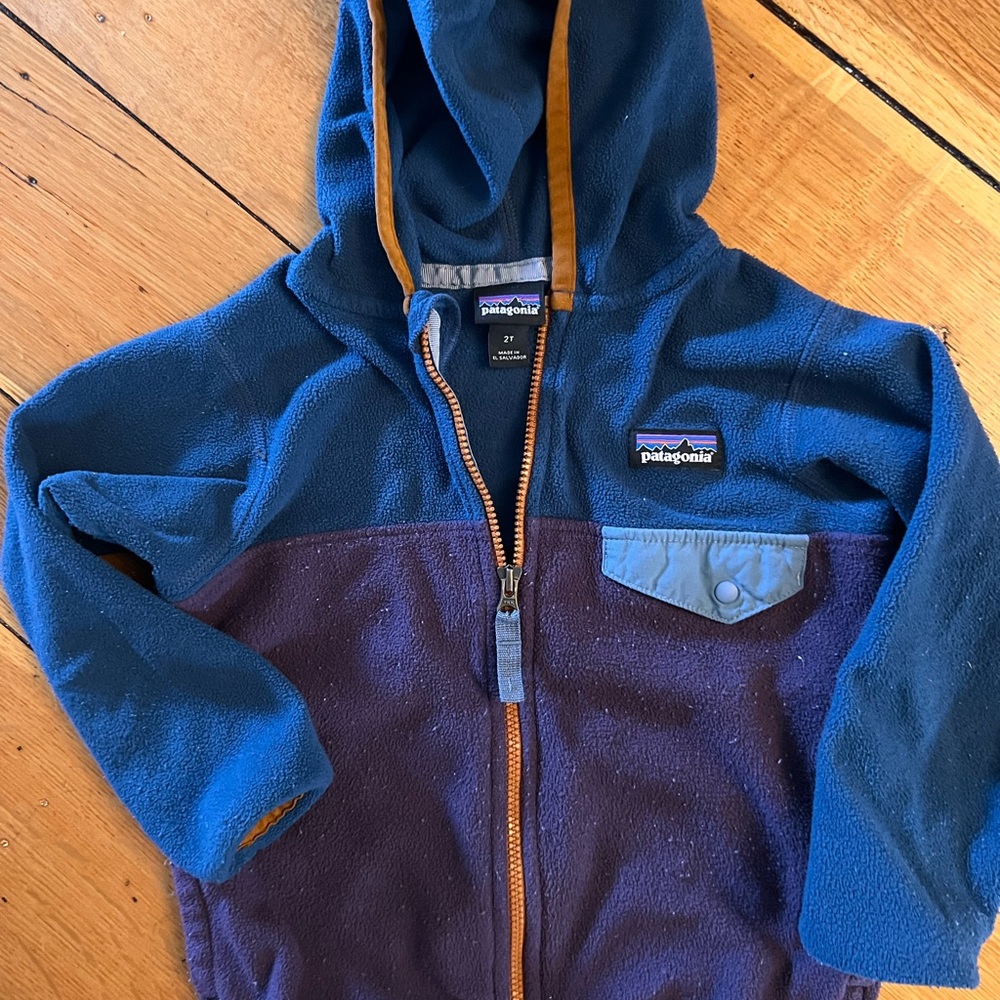Patagonia Micro D Fleece Jacket 2T